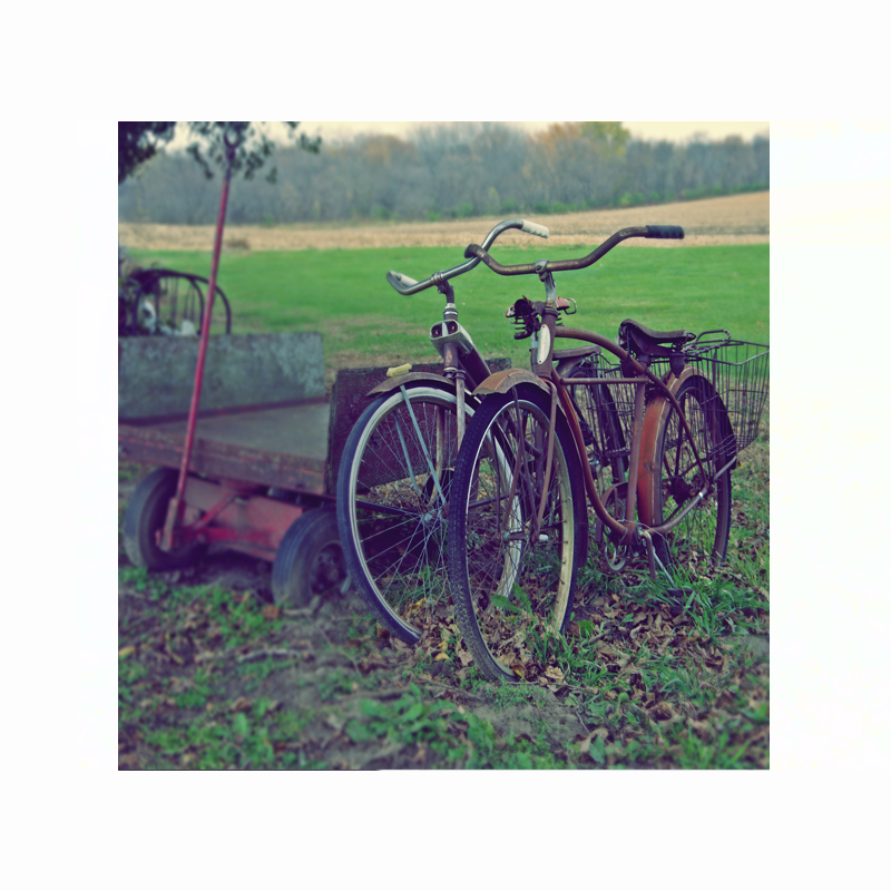 Πίνακας σε καμβά Vintage ποδήλατα